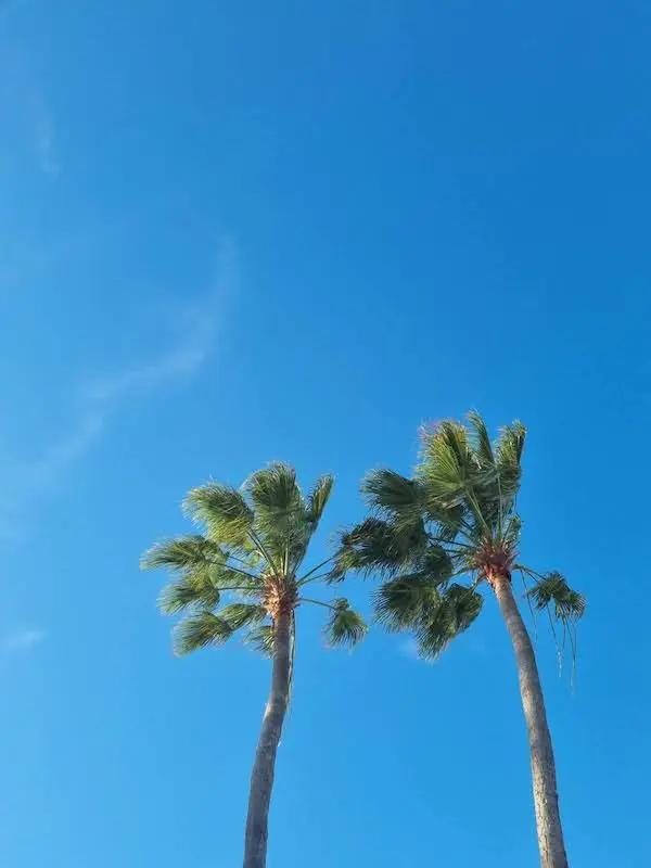 Curaçao Beach