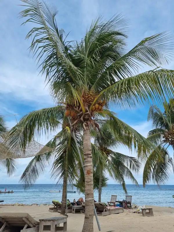 Curaçao Beach