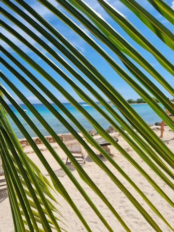 Curaçao Beach